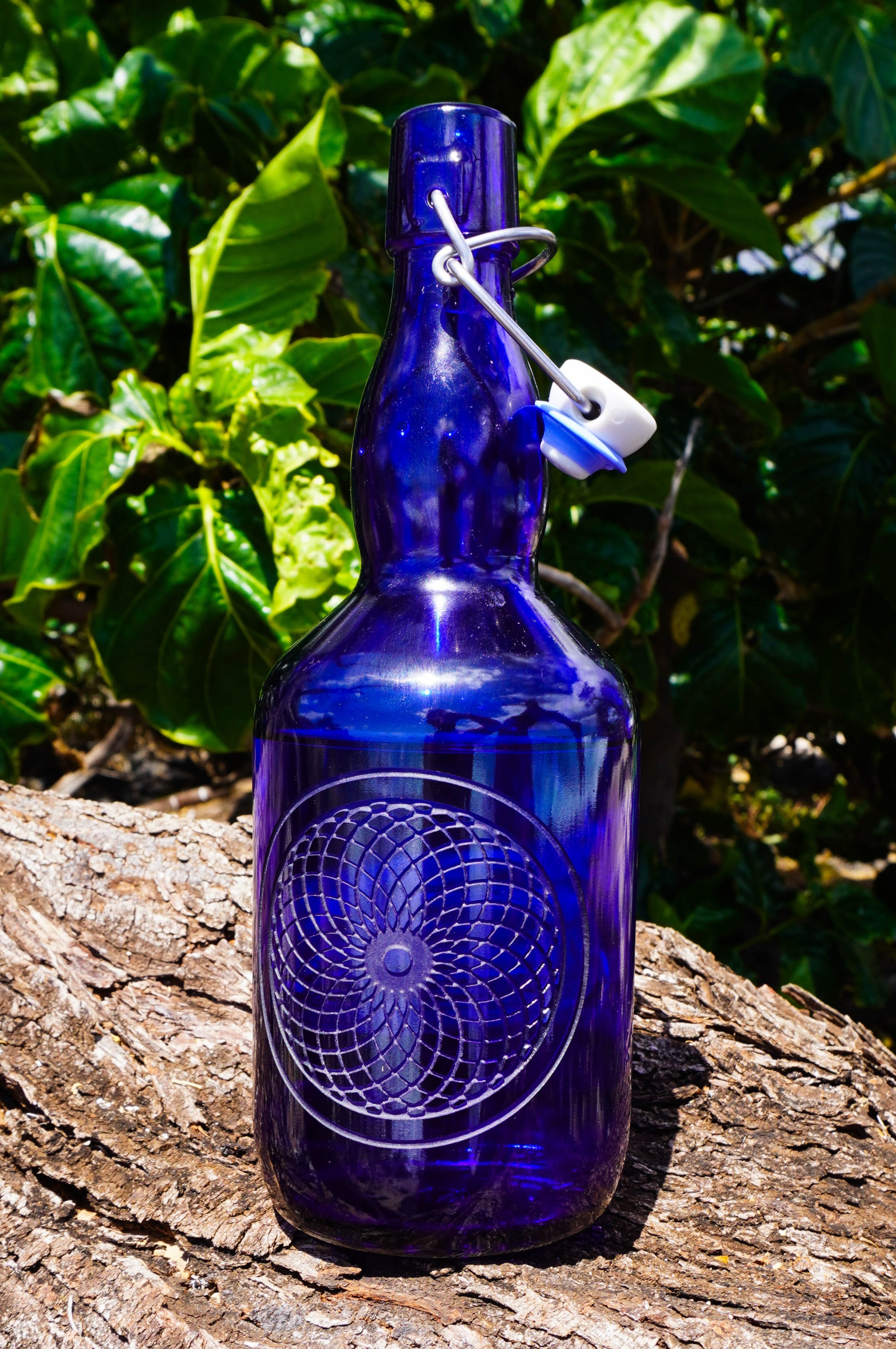 Tube Torus by The Way Forward – Blue Bottle Love