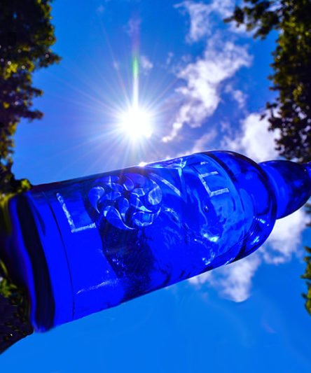 Blue Bottle Love Solstice Greetings!