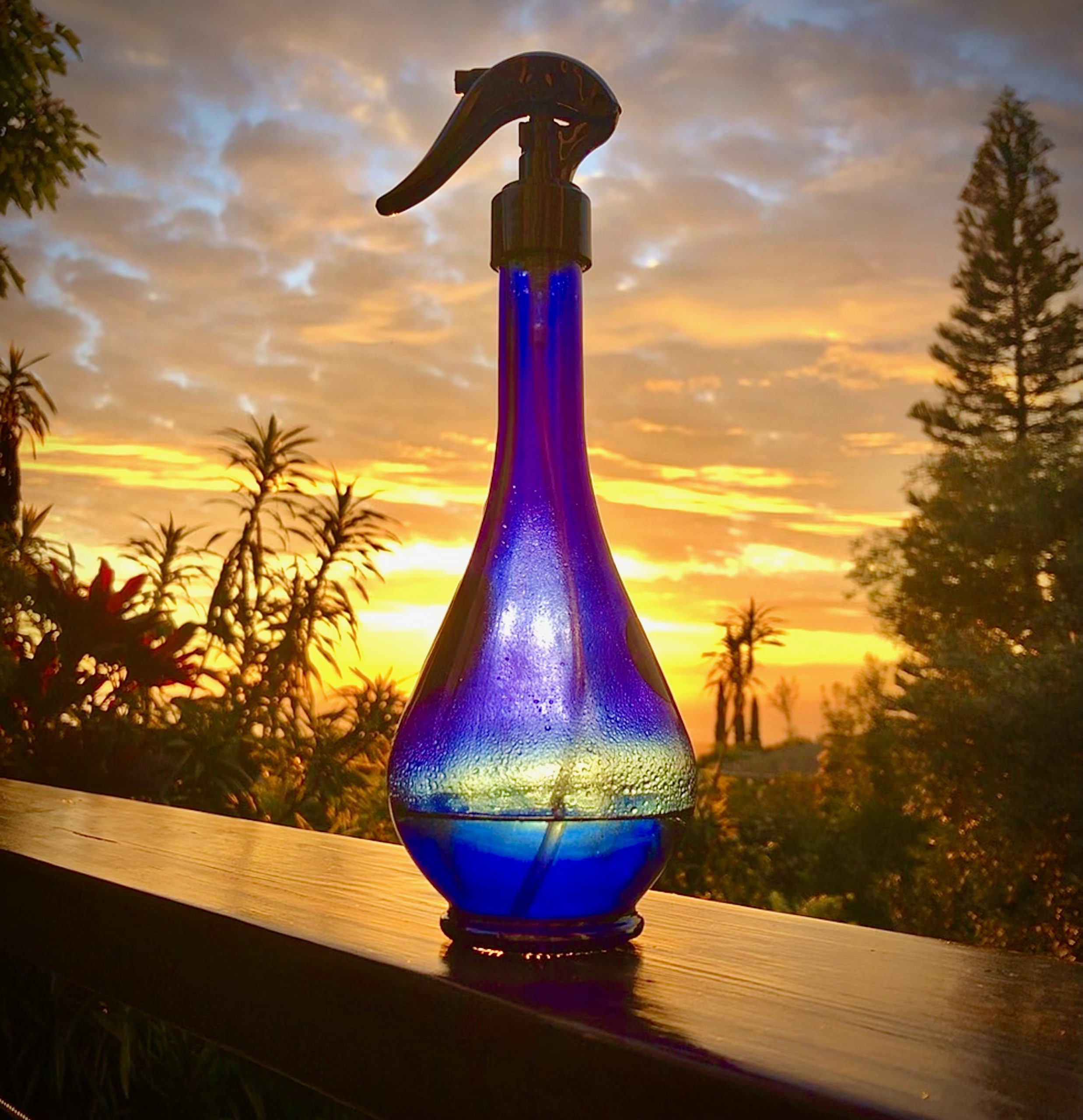 The Genie Water Drop Spritzer